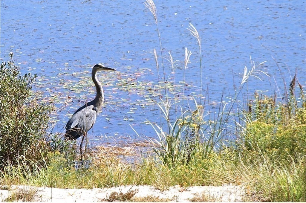 21 Pond Edge Trail Wareham, MA 02571 - Photo 35 of 39