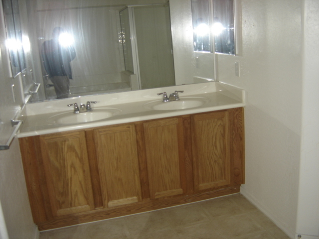43659 West Cowpath Road Maricopa, AZ 85138 - Photo 9 of 9 Master Bathroom