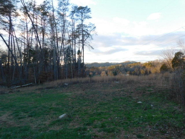 117 Agape Lane Heiskell, TN 37754 - Photo 3 of 19 3 BACK YARD