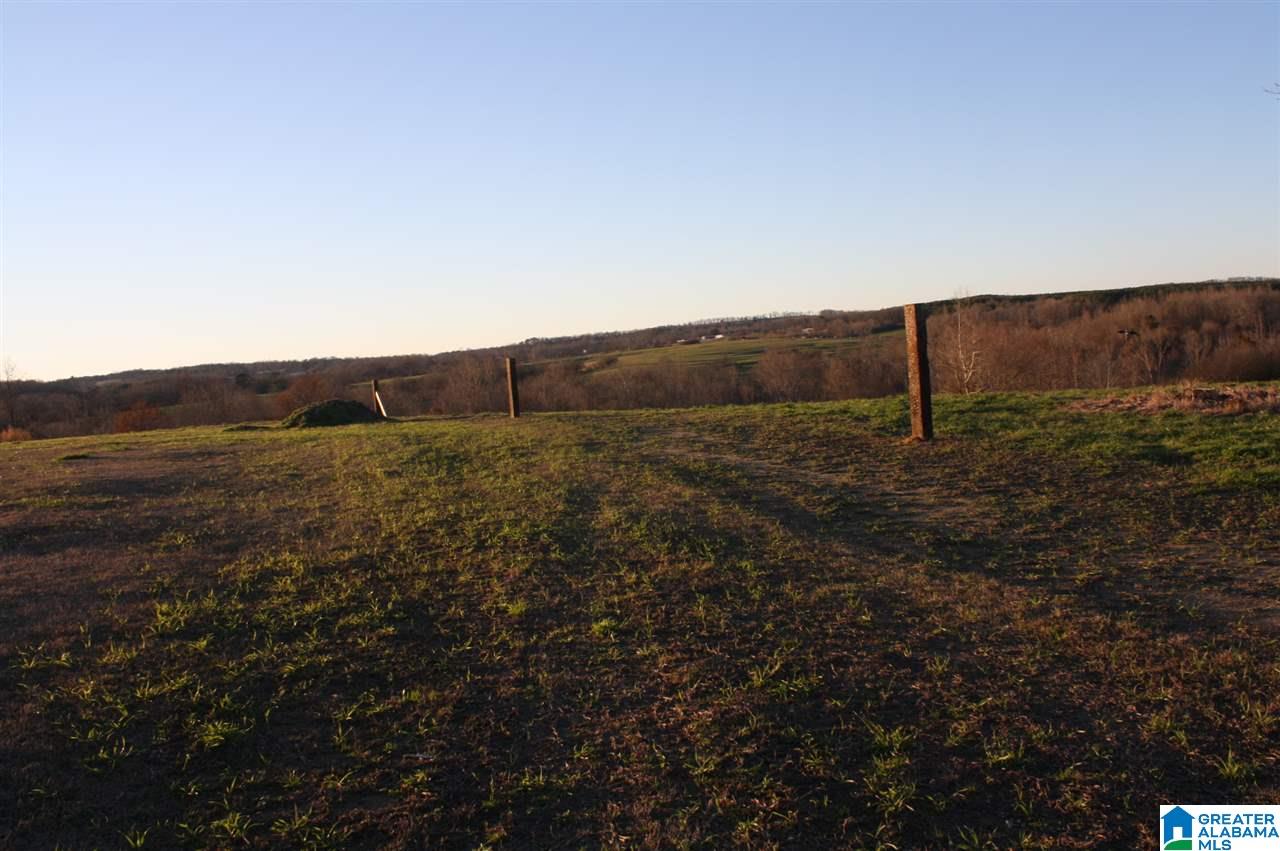 375 Wow Road Blountsville, AL 35031 - Photo 30 of 39 Gallery Image 30