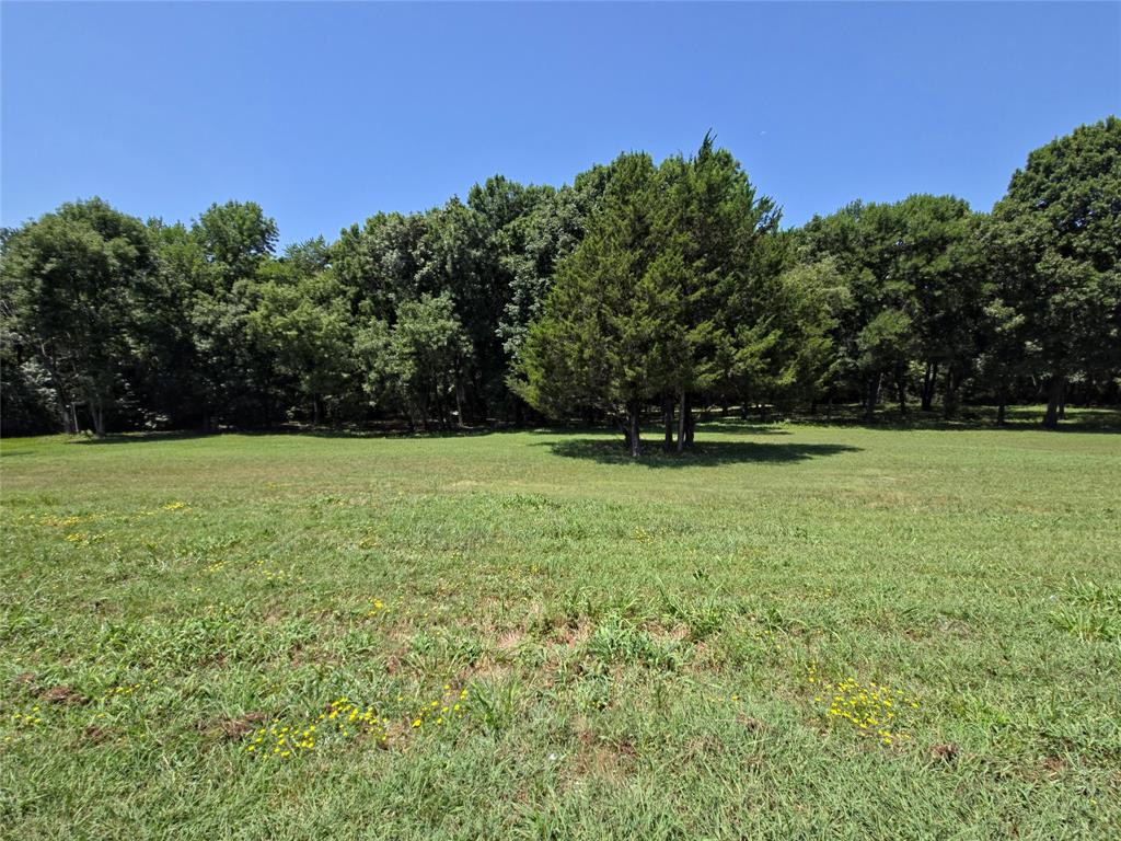 2190 Graybill Road Anna, TX 75409 - Photo 9 of 11