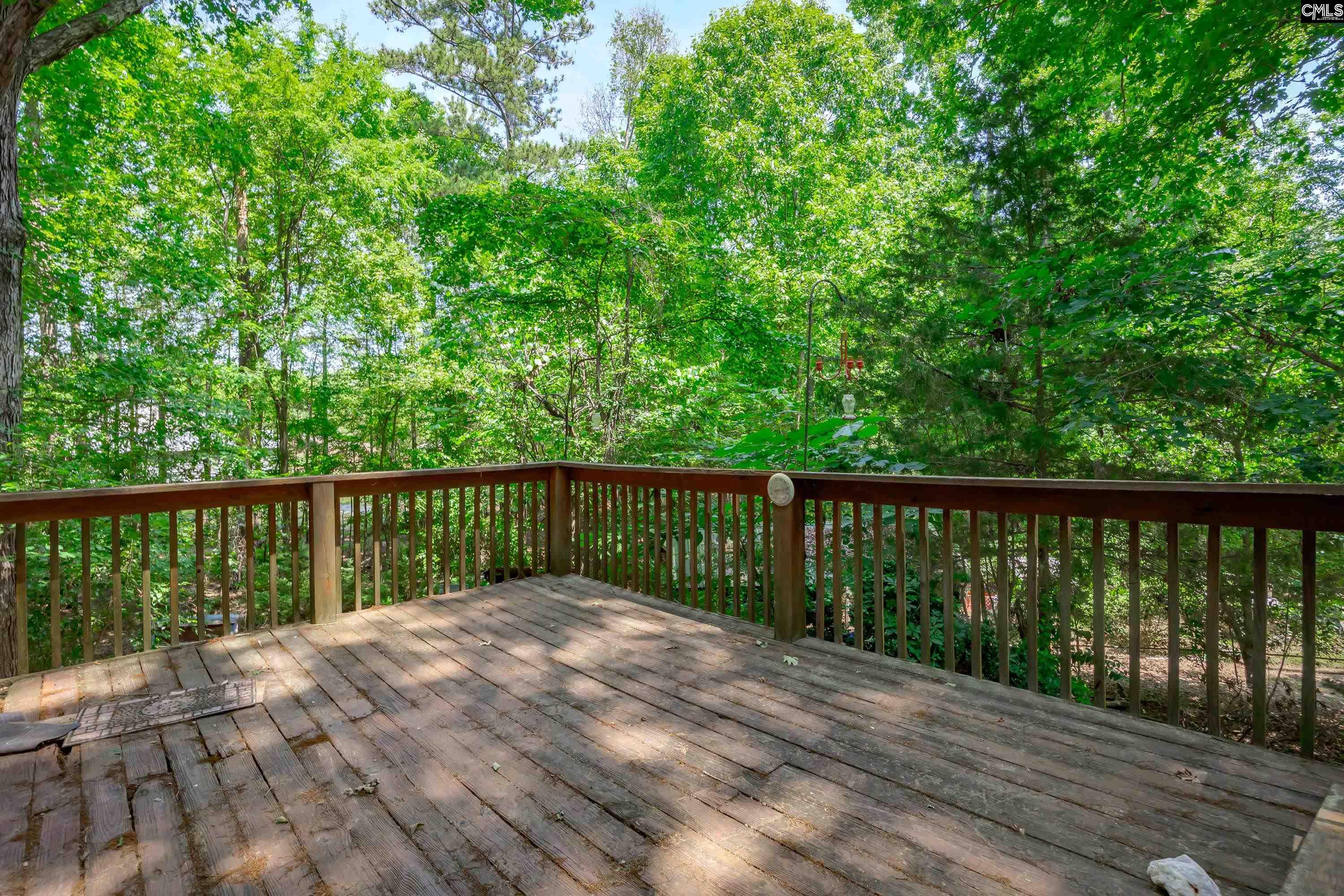 841 Foxden Road Gilbert, SC 29054 - Photo 35 of 52