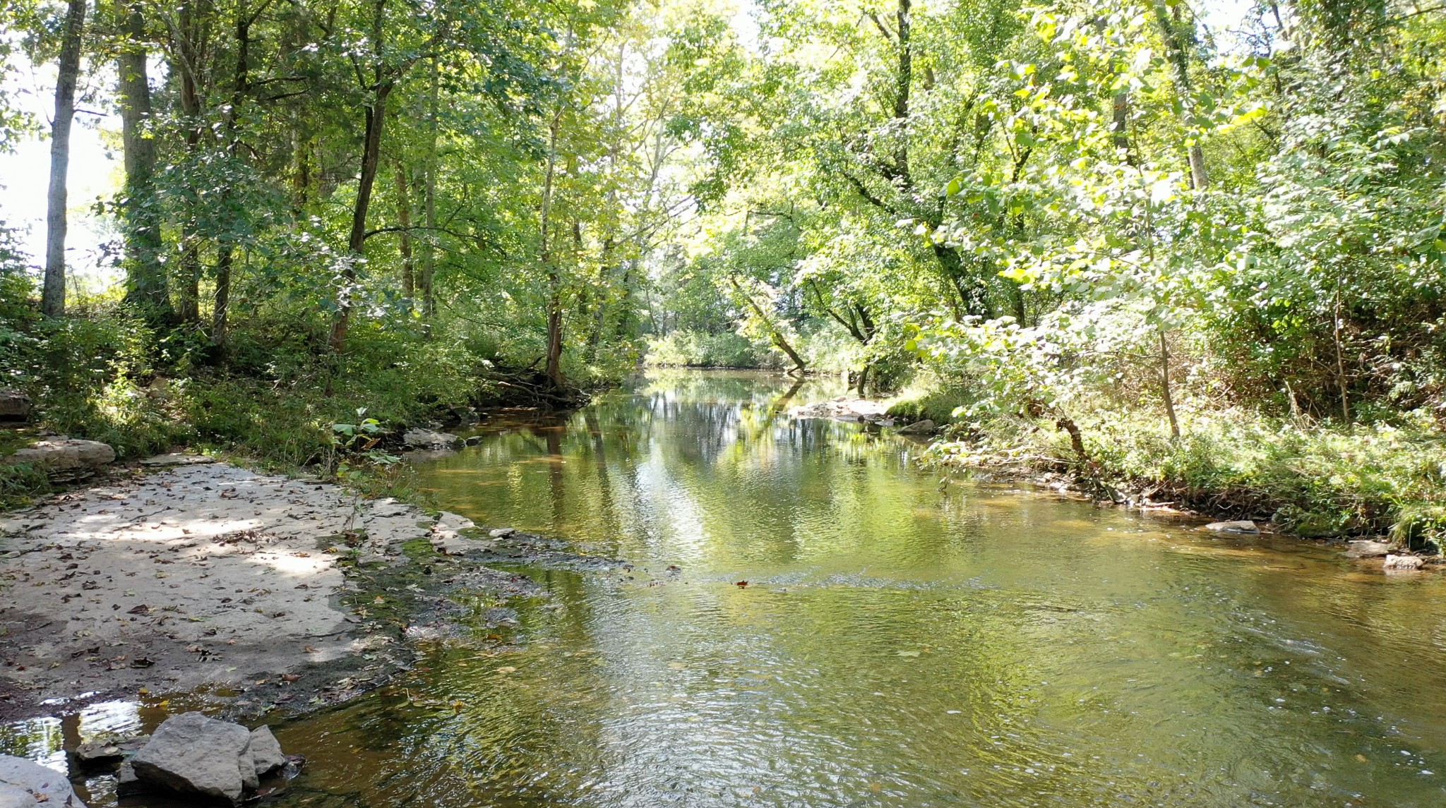 5585 Reynolds Road Spring Hill, TN 37174 - Photo 40 of 50 Gallery Image 40