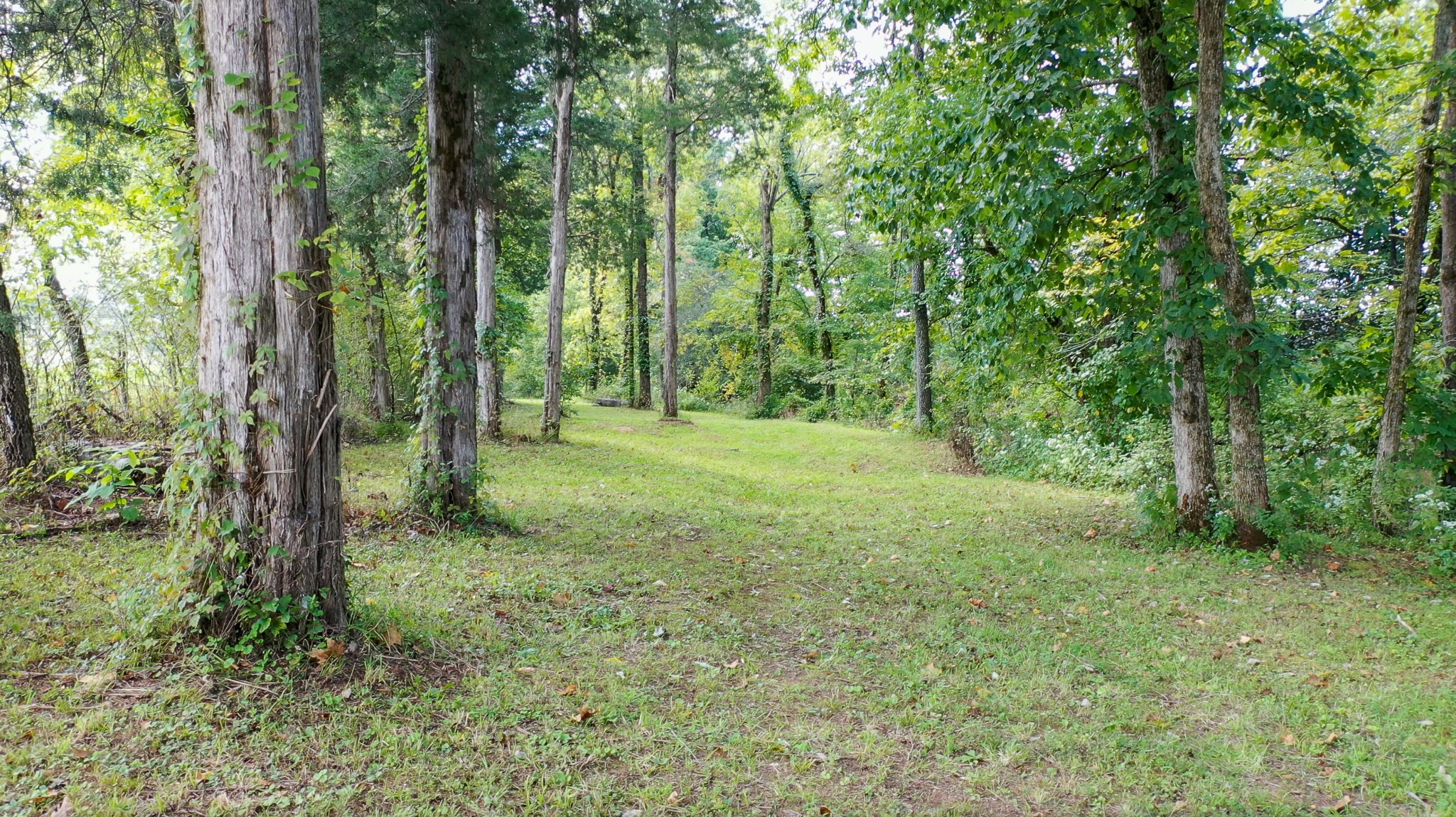 5585 Reynolds Road Spring Hill, TN 37174 - Photo 47 of 50 Gallery Image 47