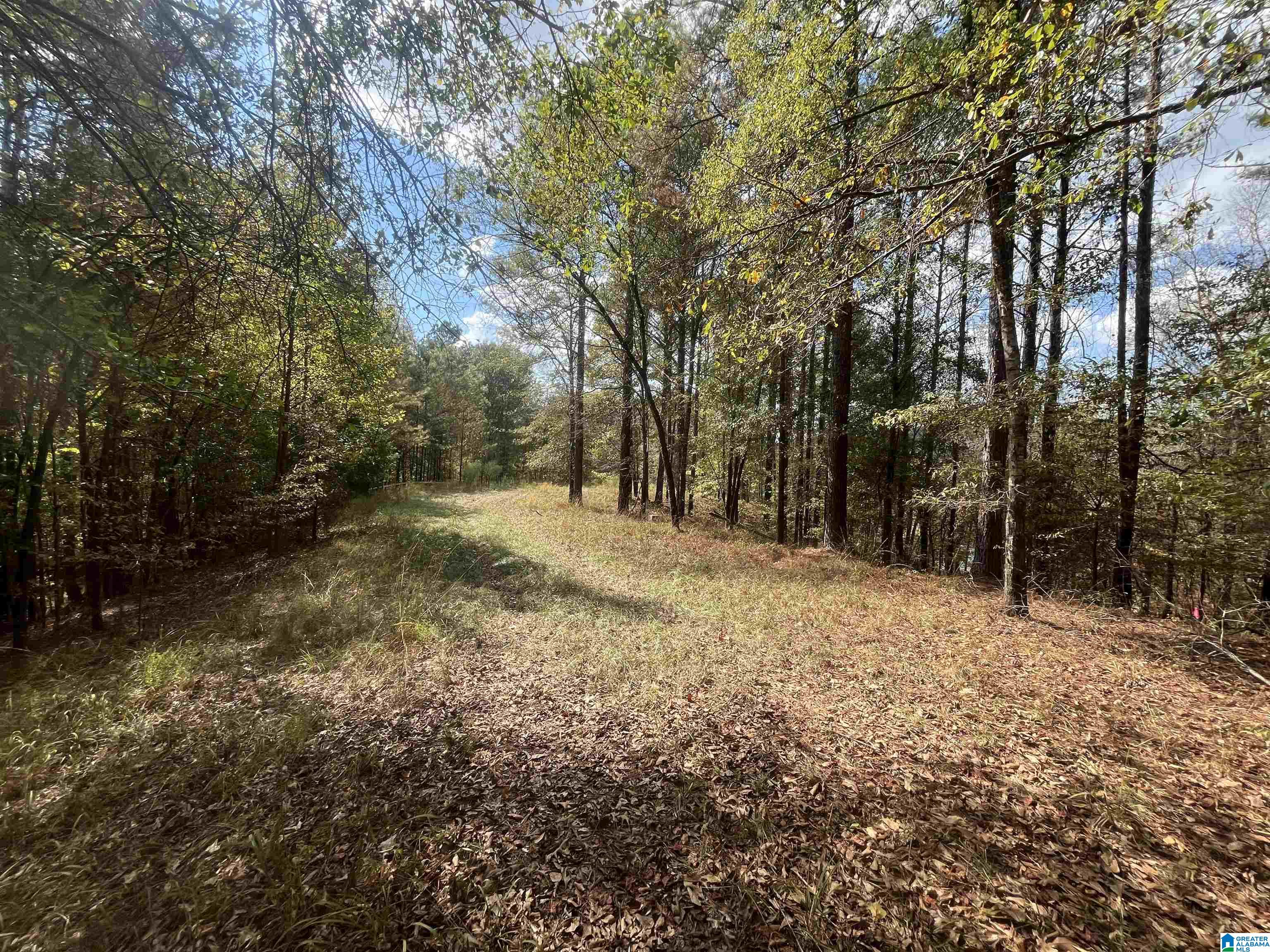 Eagle Port Road, Unit 7&8 Quinton, AL 35130 - Photo 6 of 12