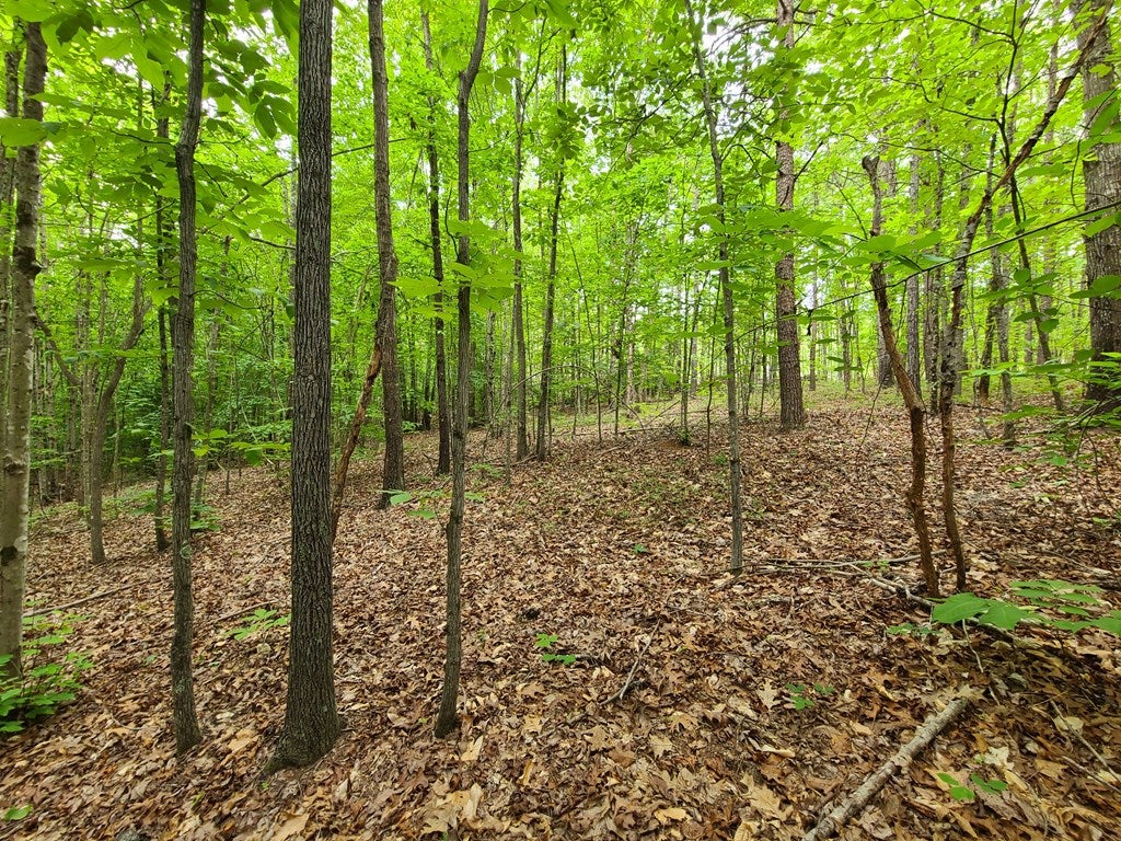 Knights View, Unit 10 Buckingham, VA 23921 - Photo 13 of 27 Gallery Image 13