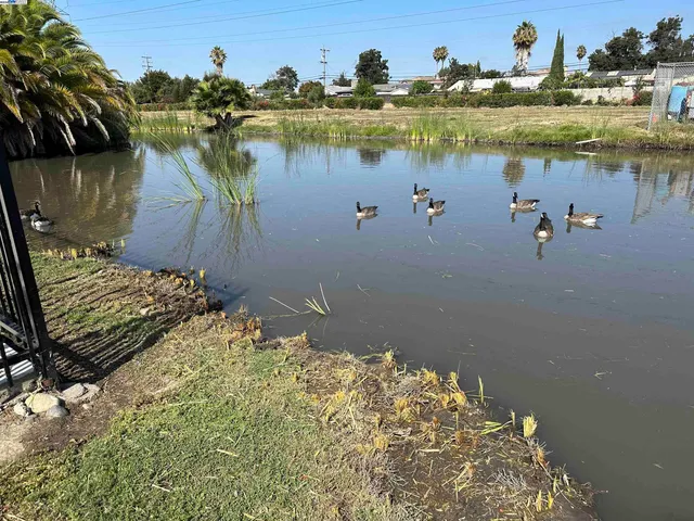 $214,000 | 257 Manitoba Green, Fremont, CA 94538