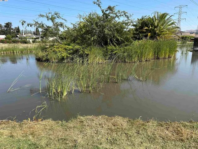 $214,000 | 257 Manitoba Green, Fremont, CA 94538