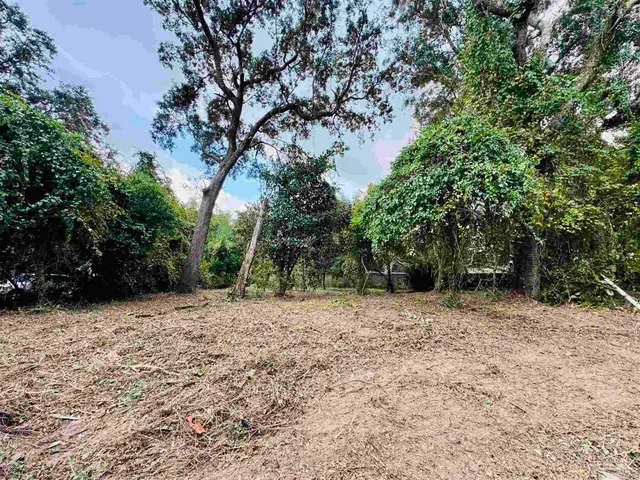a view of a yard with trees