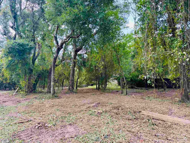 a view of outdoor space with trees