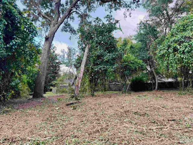 a backyard of a house with lots of green space