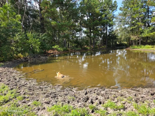 $1,350,000 | 103 Harlan Davis Road, Lumberton, MS 39455