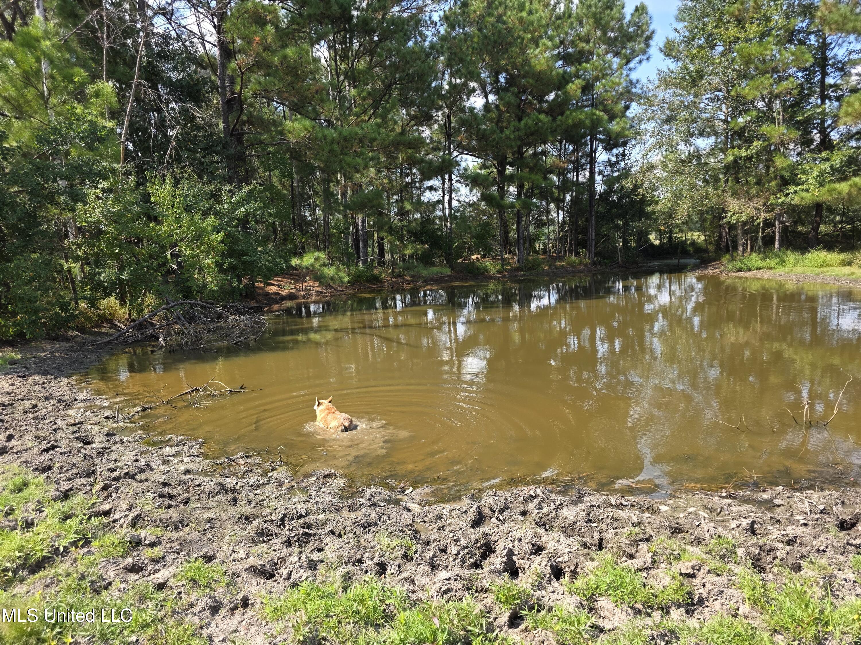 103 Harlan Davis Road Lumberton, MS 39455 - Photo 22 of 23 1000009200