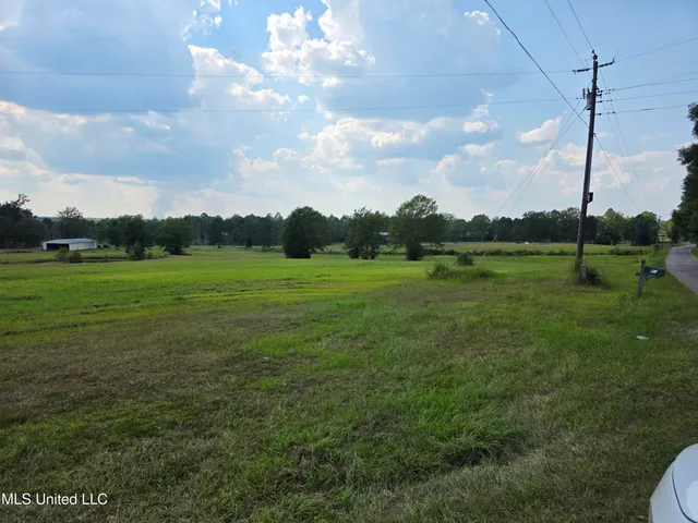 $1,350,000 | 103 Harlan Davis Road, Lumberton, MS 39455