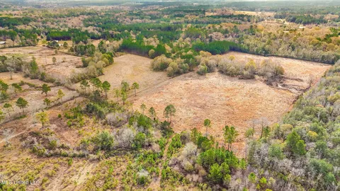 $1,350,000 | 103 Harlan Davis Road, Lumberton, MS 39455