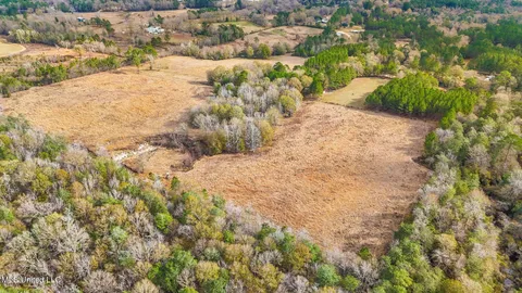 $1,350,000 | 103 Harlan Davis Road, Lumberton, MS 39455