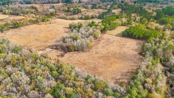 $1,350,000 | 103 Harlan Davis Road, Lumberton, MS 39455