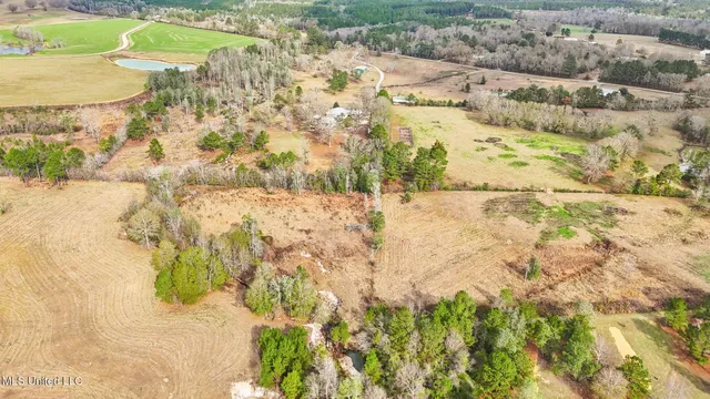 $1,350,000 | 103 Harlan Davis Road, Lumberton, MS 39455