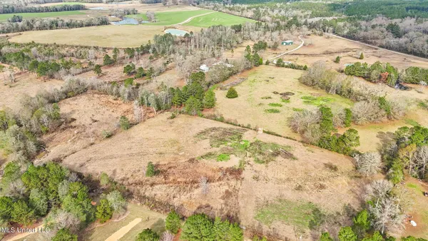 $1,350,000 | 103 Harlan Davis Road, Lumberton, MS 39455