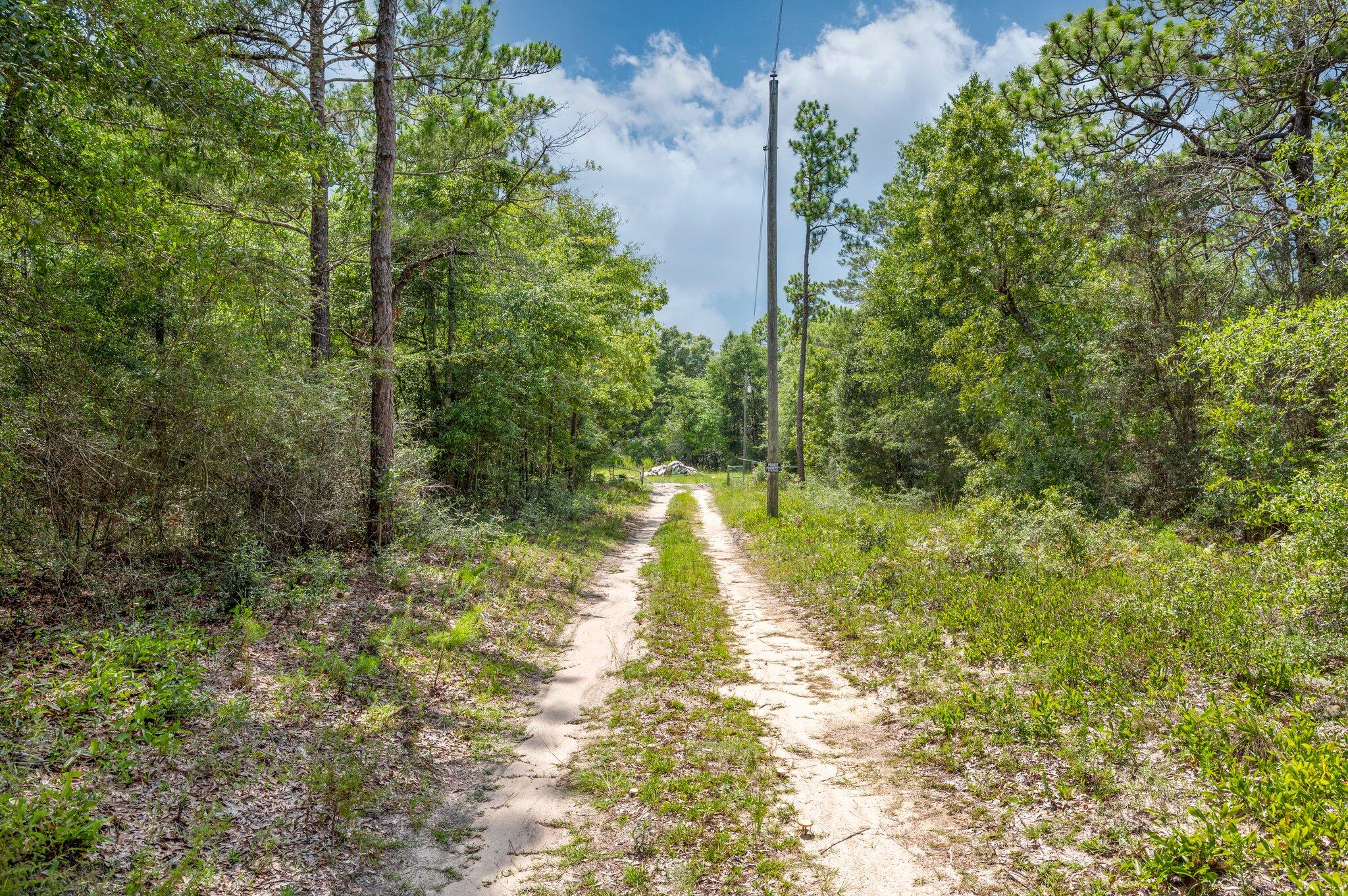 0 Bear Creek Road Crestview, FL 32539 - Photo 13 of 20 a view of a yard