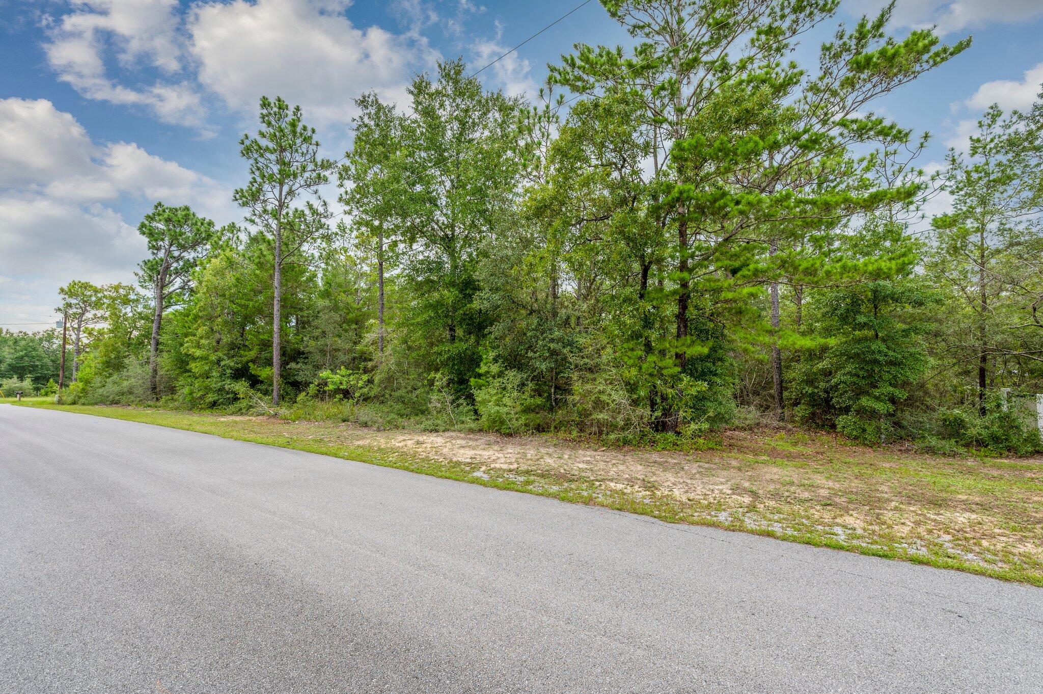 0 Bear Creek Road Crestview, FL 32539 - Photo 14 of 20 a view of a yard with a tree