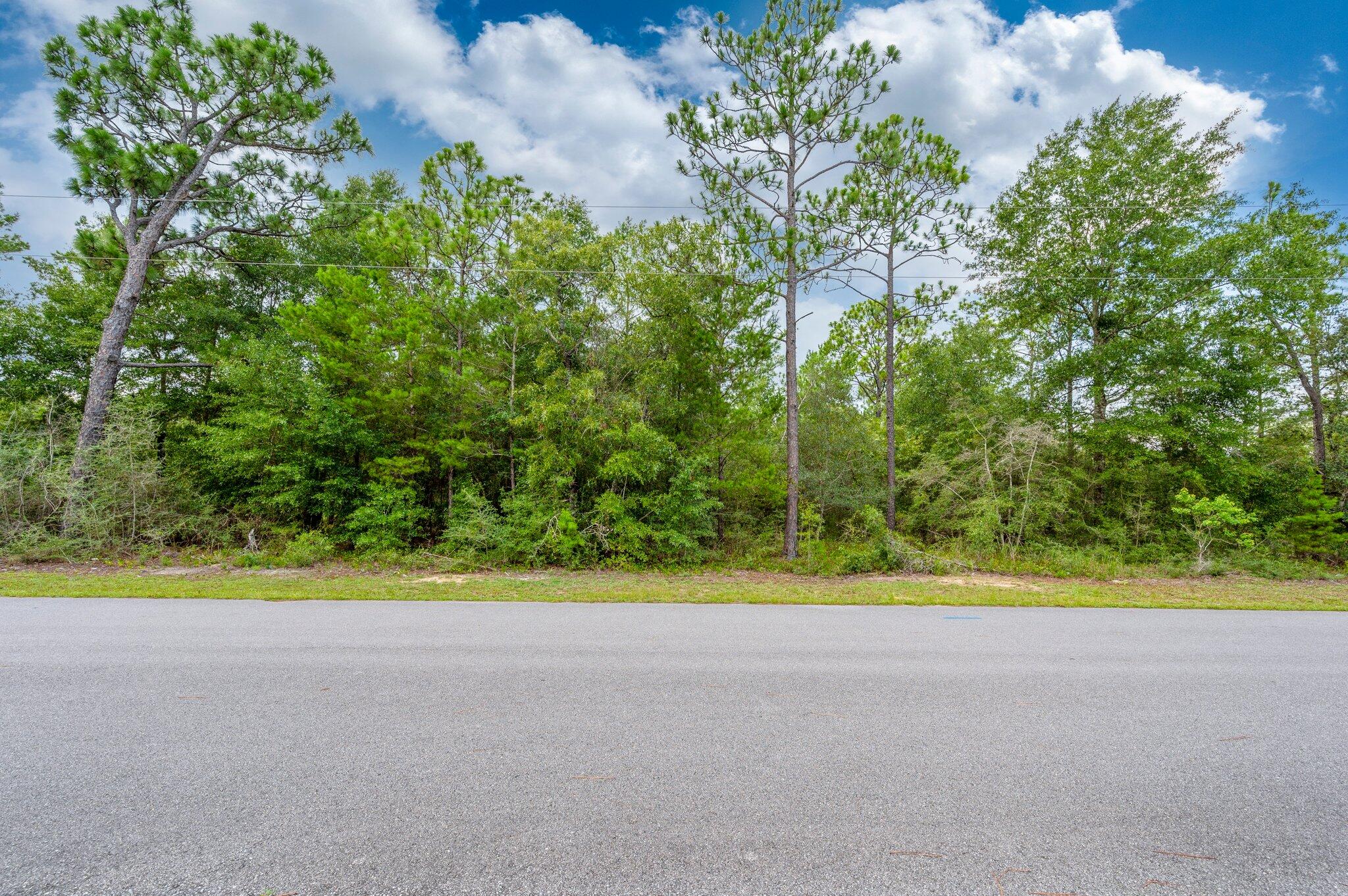 0 Bear Creek Road Crestview, FL 32539 - Photo 15 of 20 a view of a yard with a plant