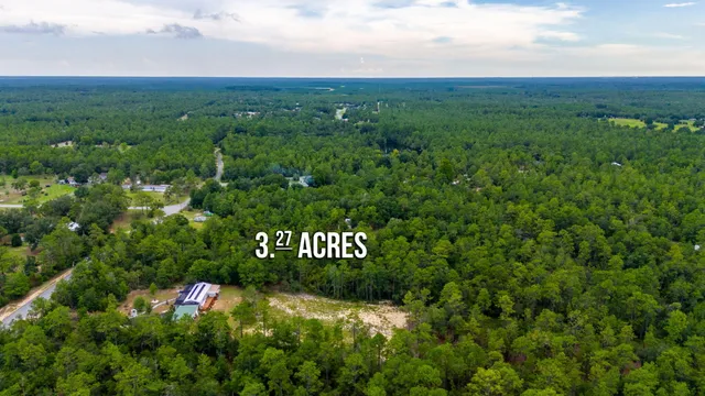 a view of a bunch of trees and bushes