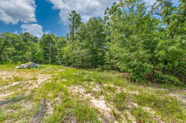 a view of outdoor space and yard