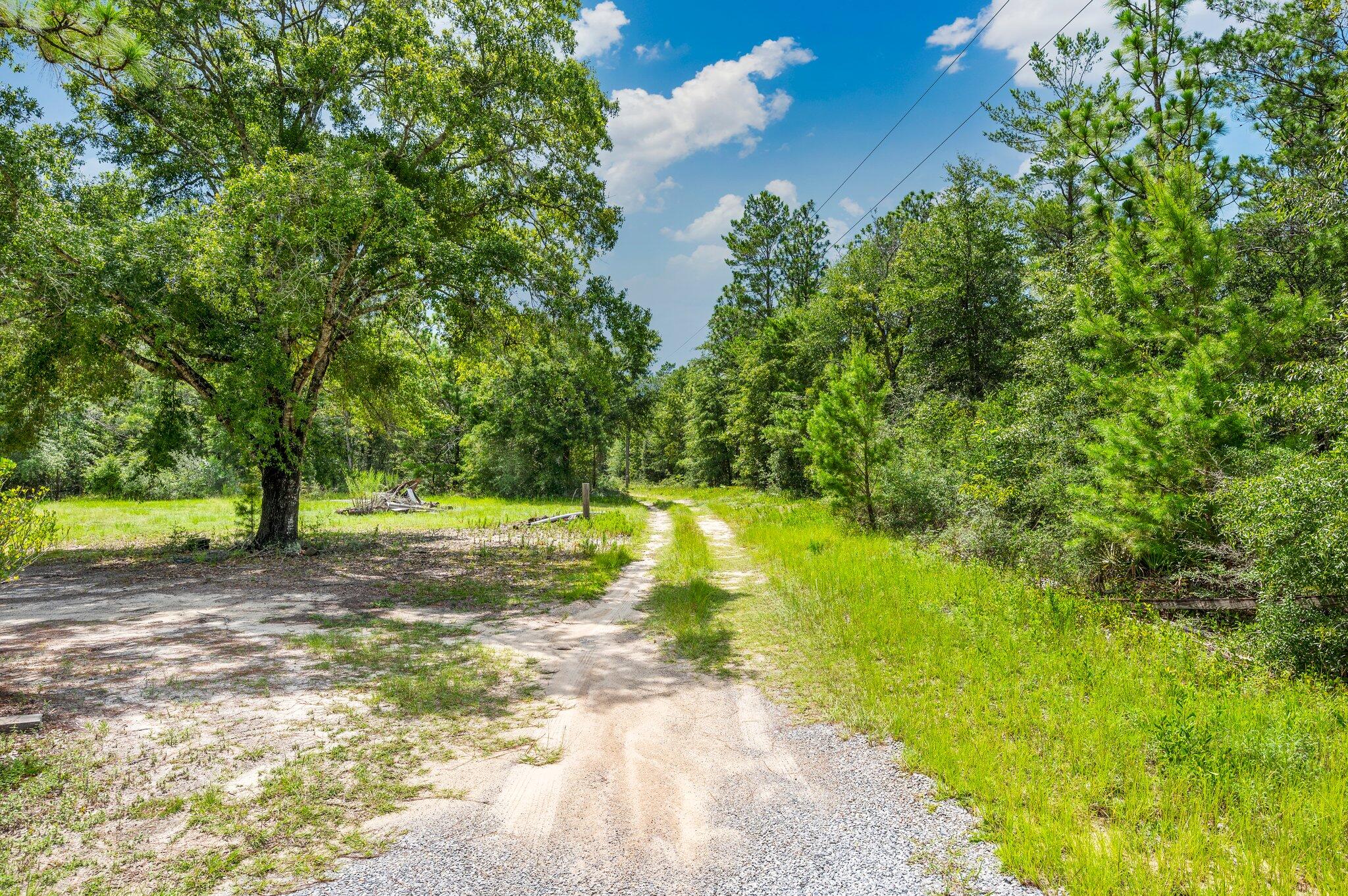 0 Bear Creek Road Crestview, FL 32539 - Photo 20 of 20 a view of a yard with plants and large trees
