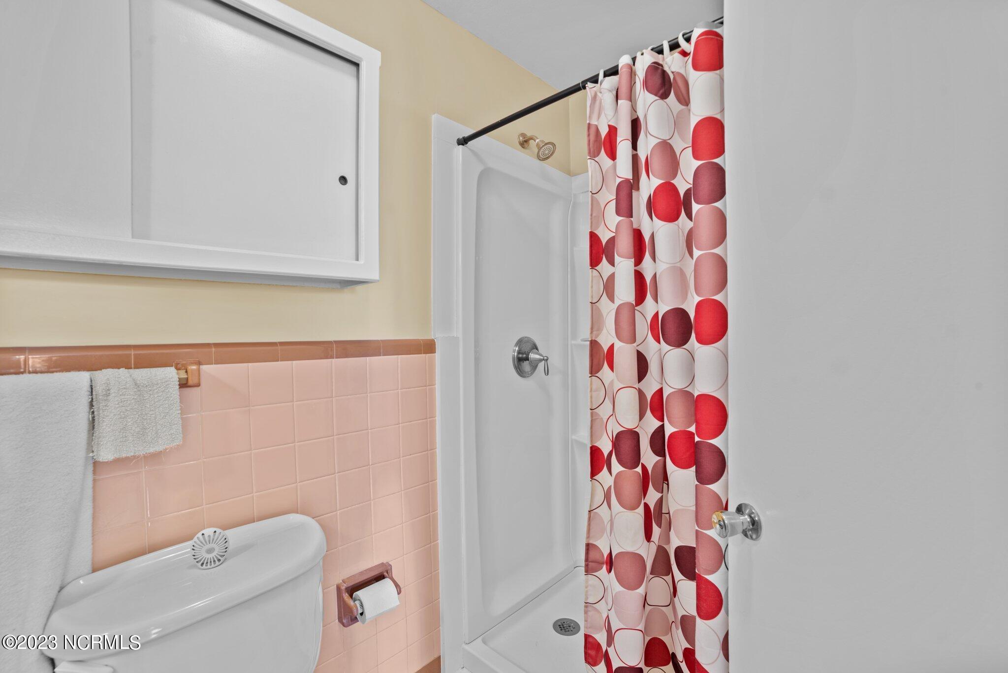 307 Firetower Road La Grange, NC 28551 - Photo 31 of 45 Hall Bathroom