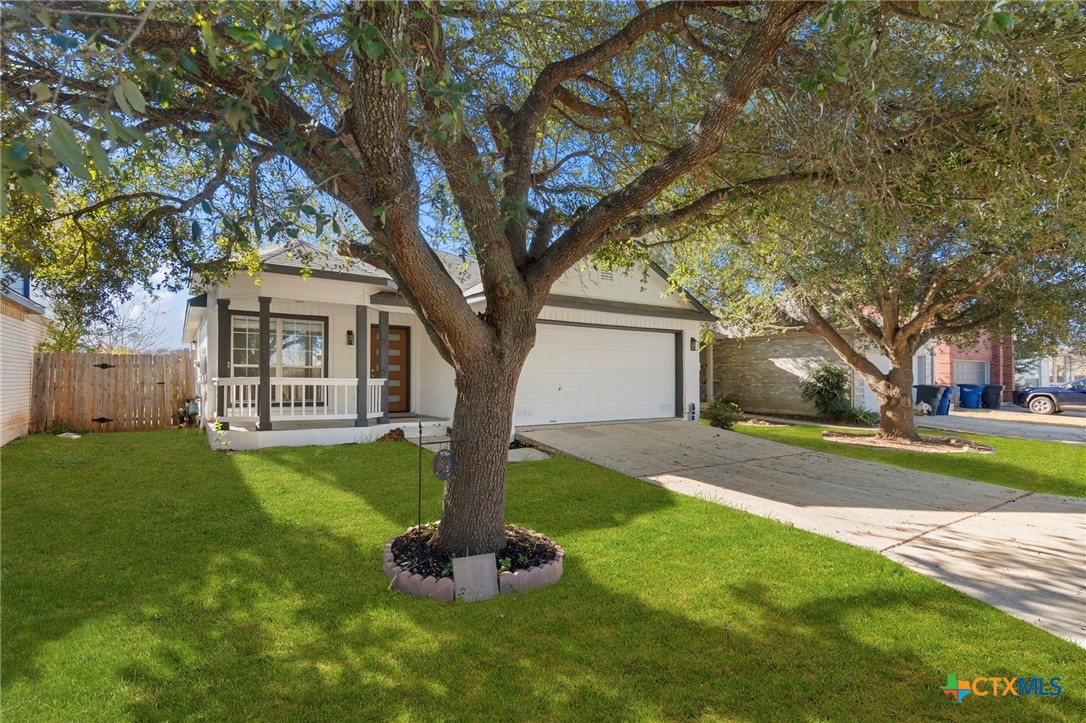 1751 Joy Spring New Braunfels, TX 78130 - Photo 29 of 35 a tree in front of a white house