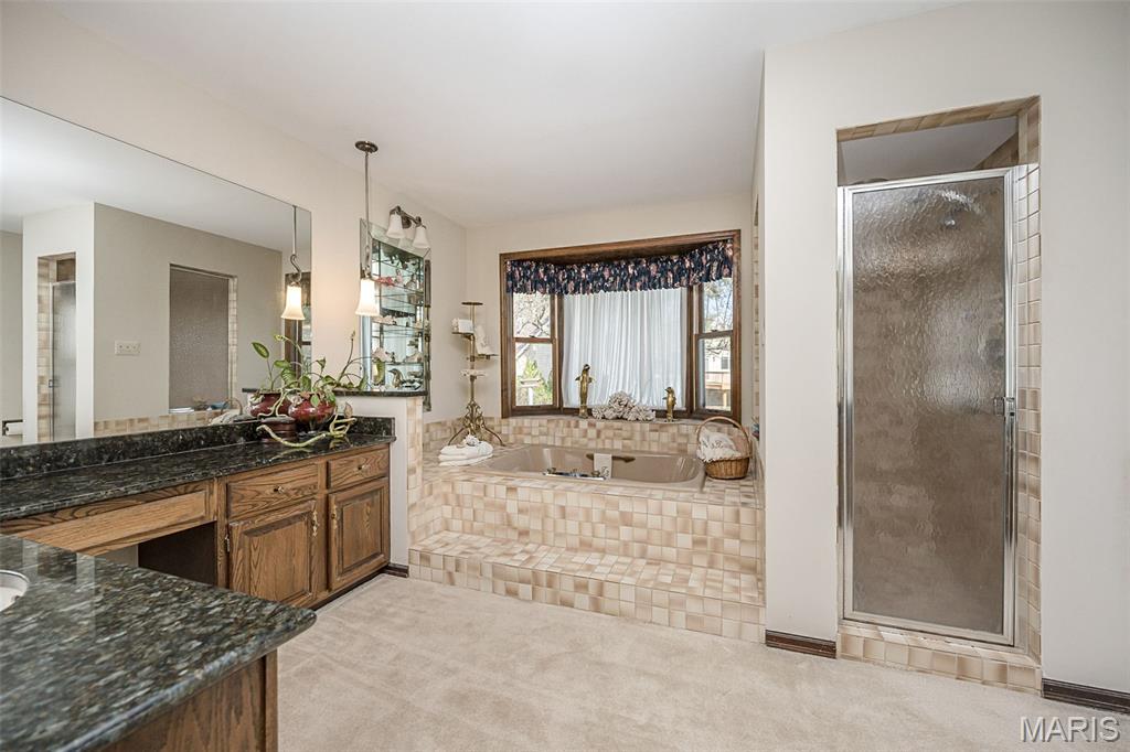 606 Aspen Ridge Court Chesterfield, MO 63017 - Photo 25 of 49