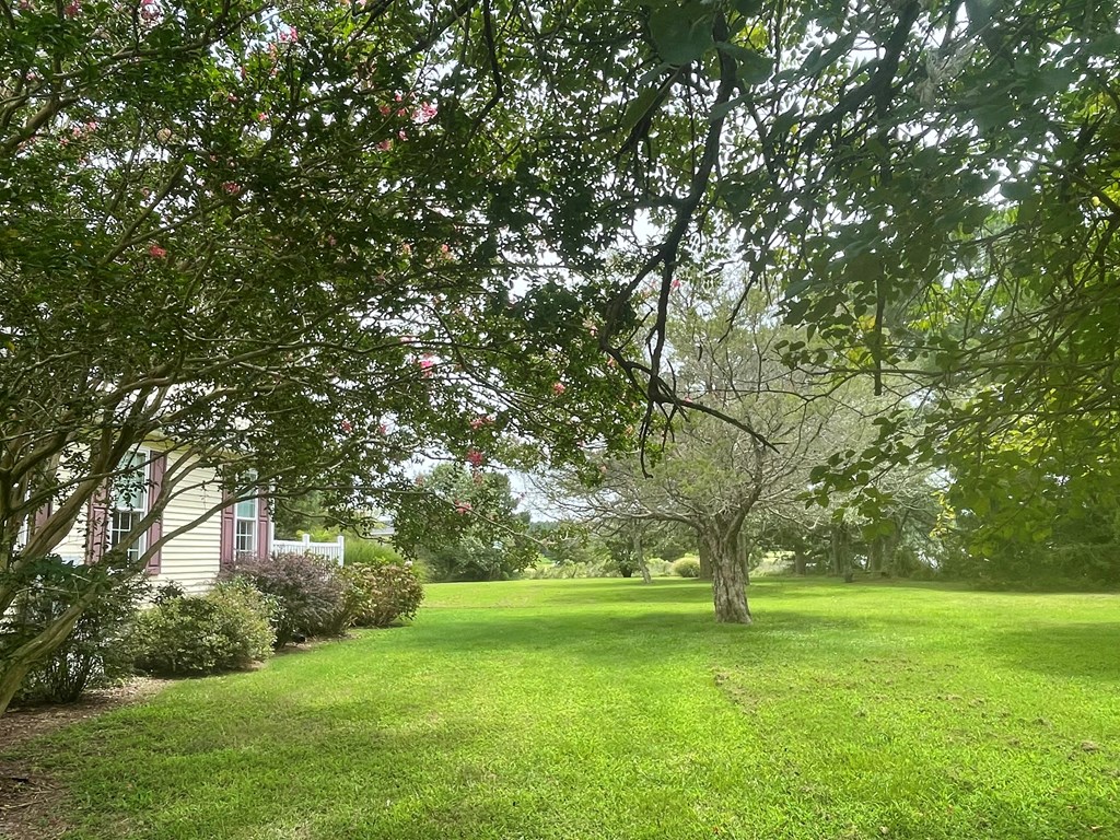 18731 Johnsons Landing Road Parksley, VA 23421 - Photo 83 of 88 Gallery Image 83