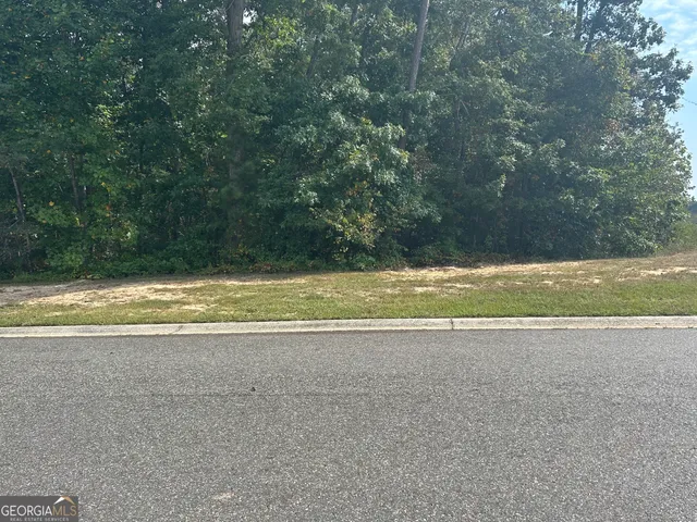 $162,500 | 1381 Larose Drive, Unit LOT 55A, Hoschton, GA 30548