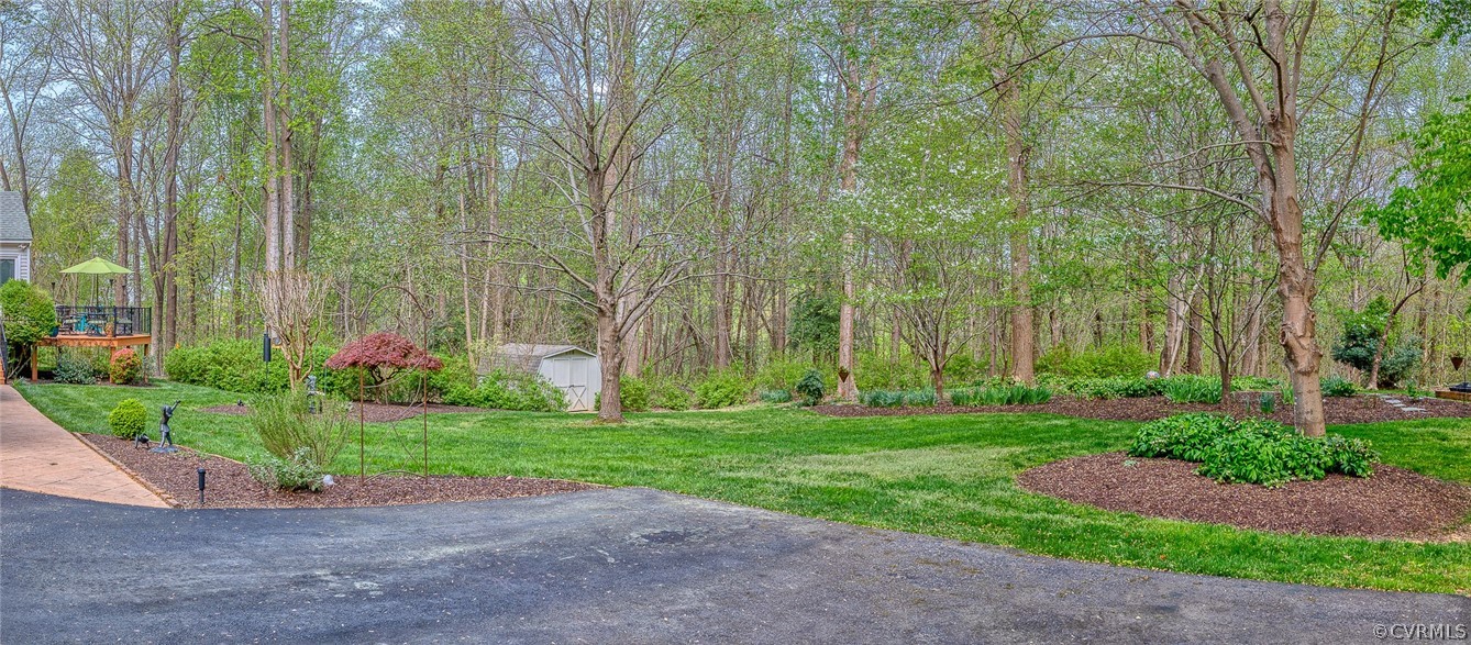 201 Rivers Bend Circle Chester, VA 23836 - Photo 7 of 50