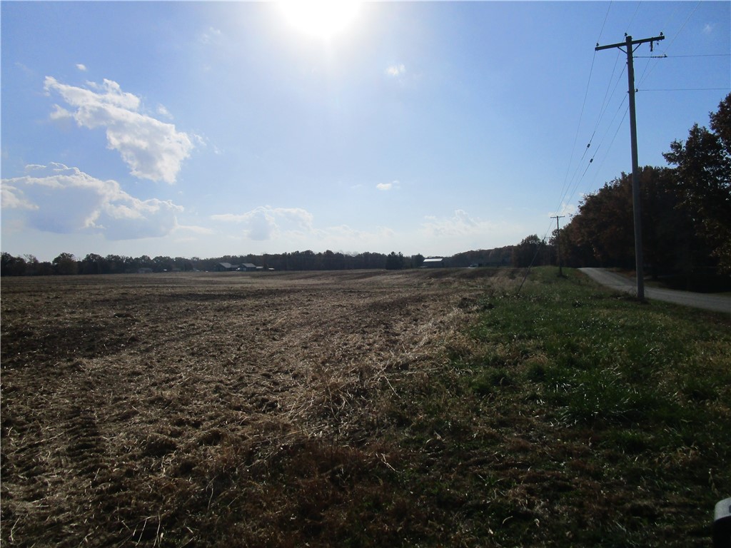 2625 East 230th Road Pana, IL 62557 - Photo 3 of 3
