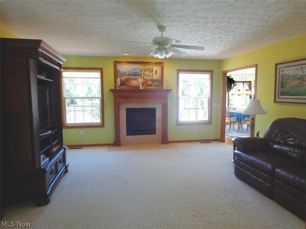 4158 Berkley Road Vermilion, OH 44089 - Photo 13 of 29 The ventless gas fireplace accents the living room