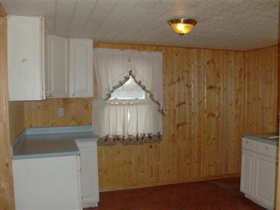 807 Root Street Belding, MI 48809 - Photo 6 of 6 Additional Photo