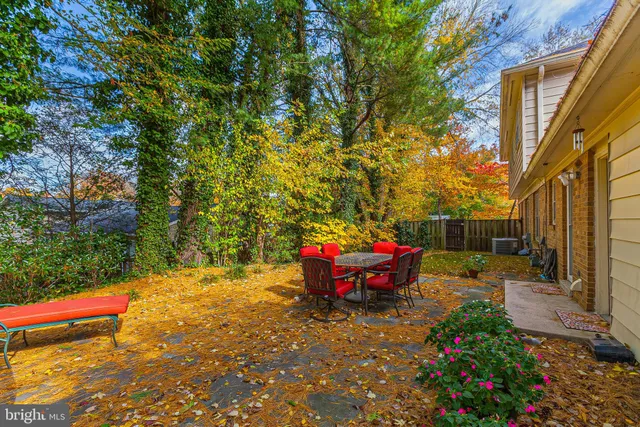 a view of a backyard