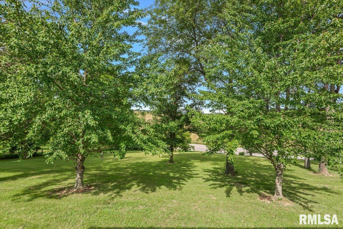 1997 New Lake Road Jacksonville, IL 62650 - Photo 31 of 39