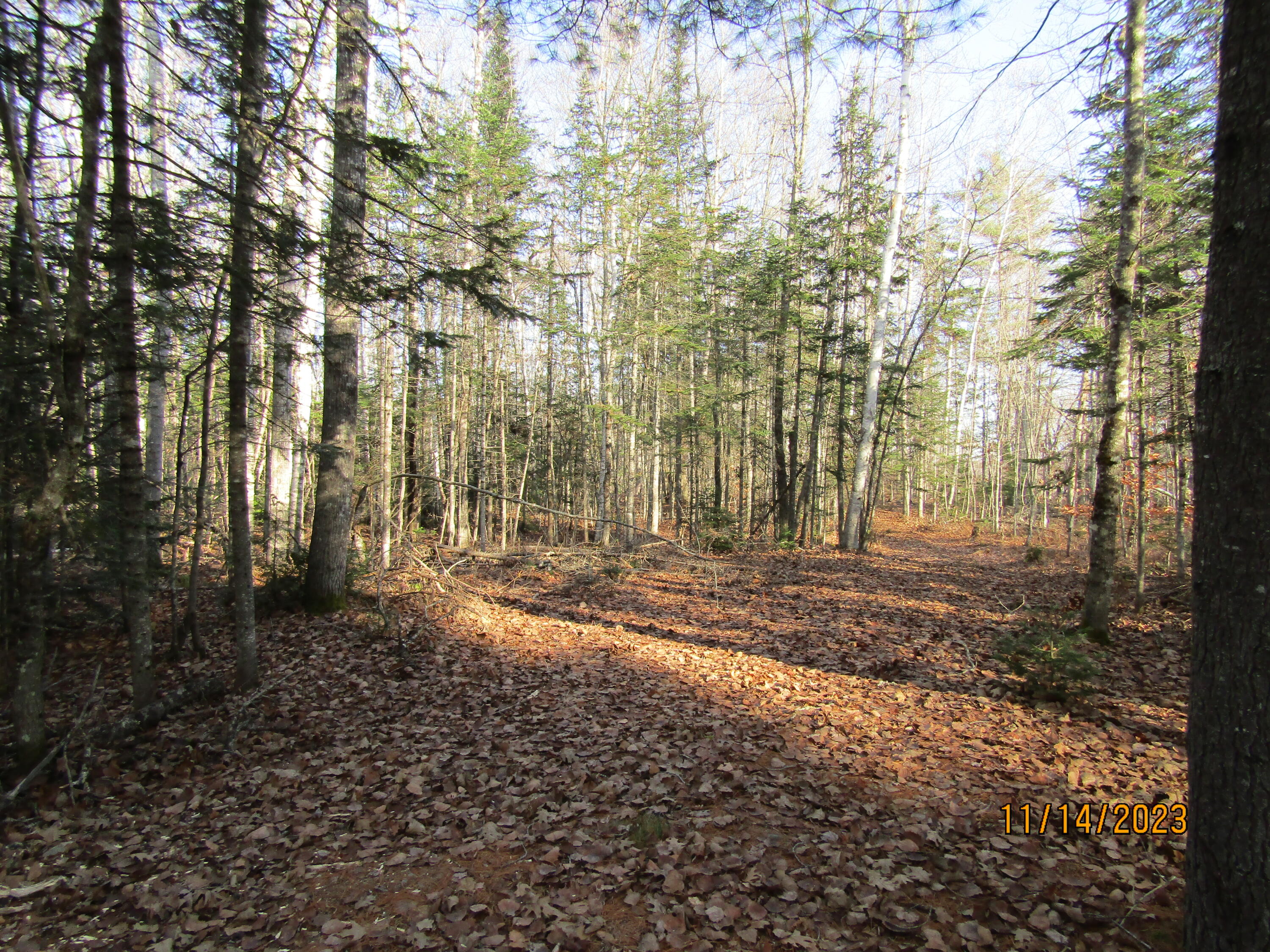 Lot 4-3 Joe Raymond Road Milo, ME 04463 - Photo 3 of 12 IMG_0534