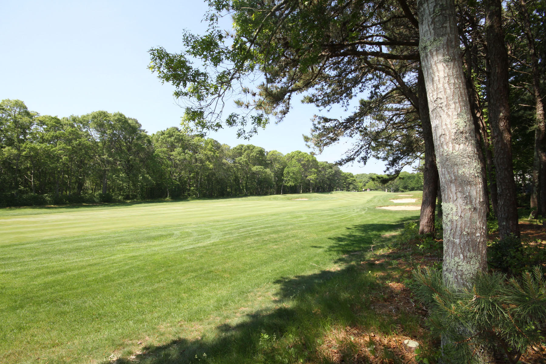 68 Mid-Iron Way, Unit 7526 Mashpee, MA 02649 - Photo 20 of 26 IMG_1296