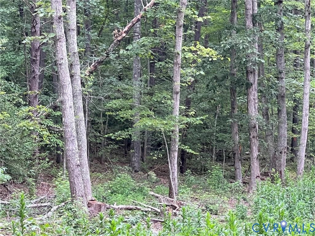 3850 Three Chopt Road Gum Spring, VA 23065 - Photo 1 of 1 a view of forest