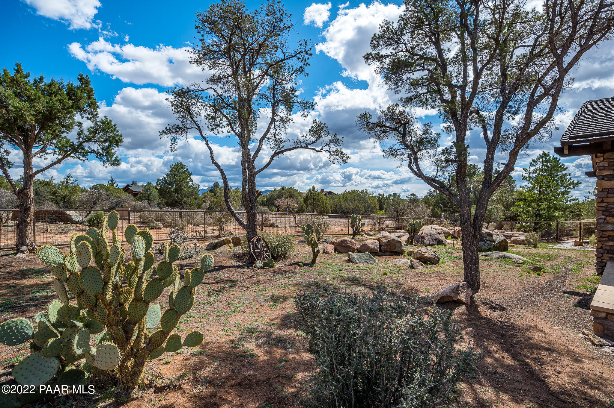 5350 West Three Forks Road Prescott, AZ 86305 - Photo 61 of 90 a view of a forest with lots of trees
