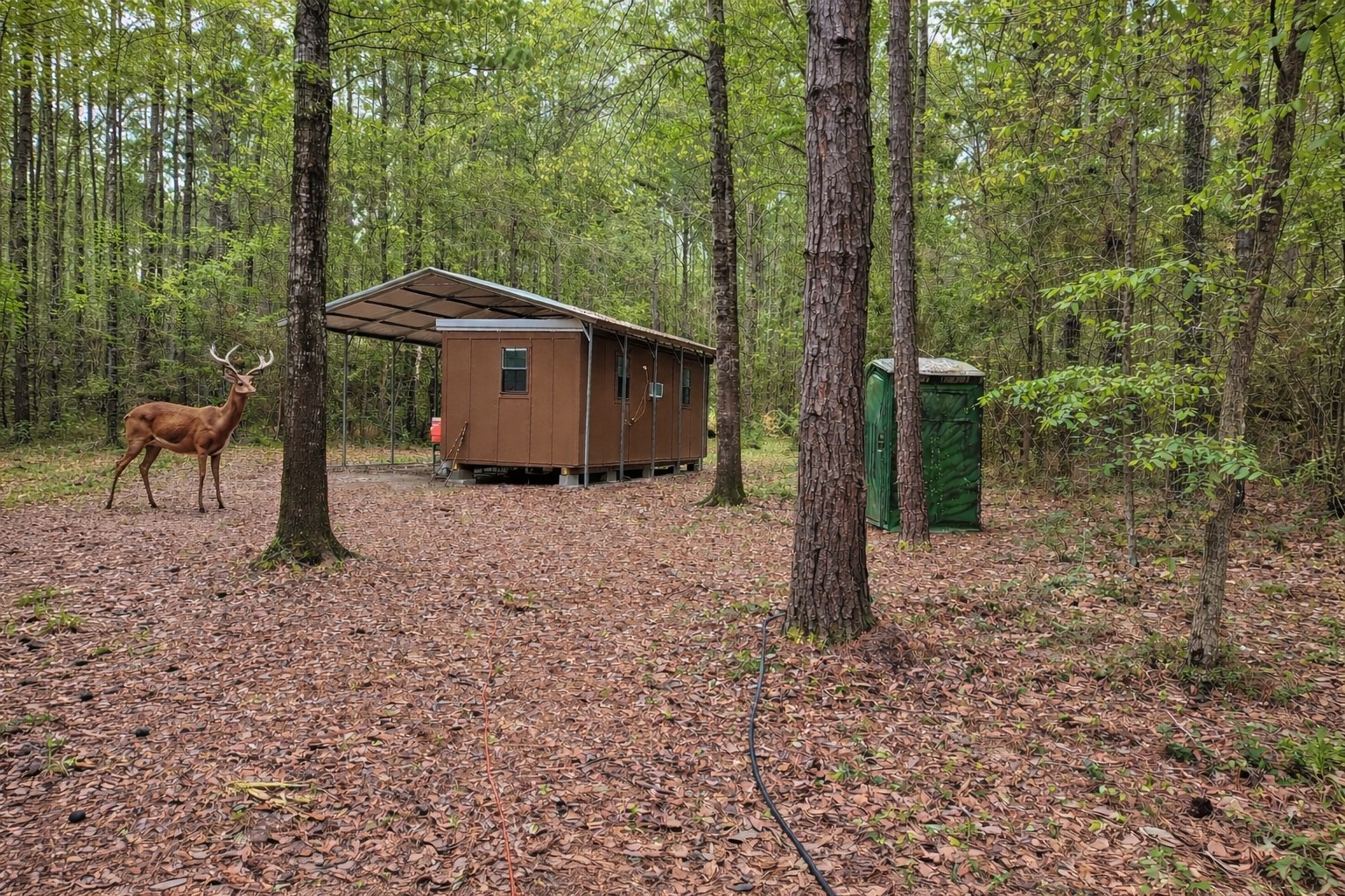 2370 Westville Road Groveton, TX 75845 - Photo 2 of 11