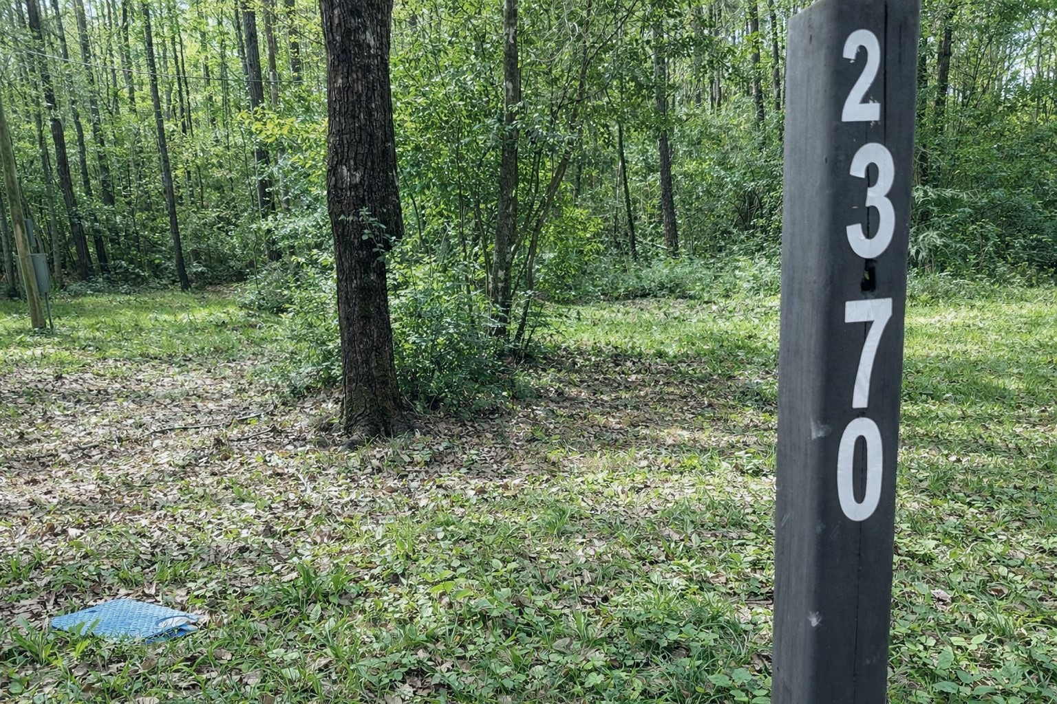 2370 Westville Road Groveton, TX 75845 - Photo 9 of 11