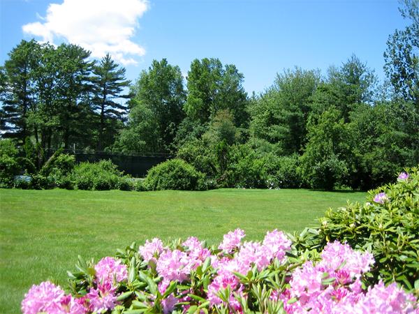261 Old Farm Road Milton, MA 02186 - Photo 23 of 26 Gallery Image 23