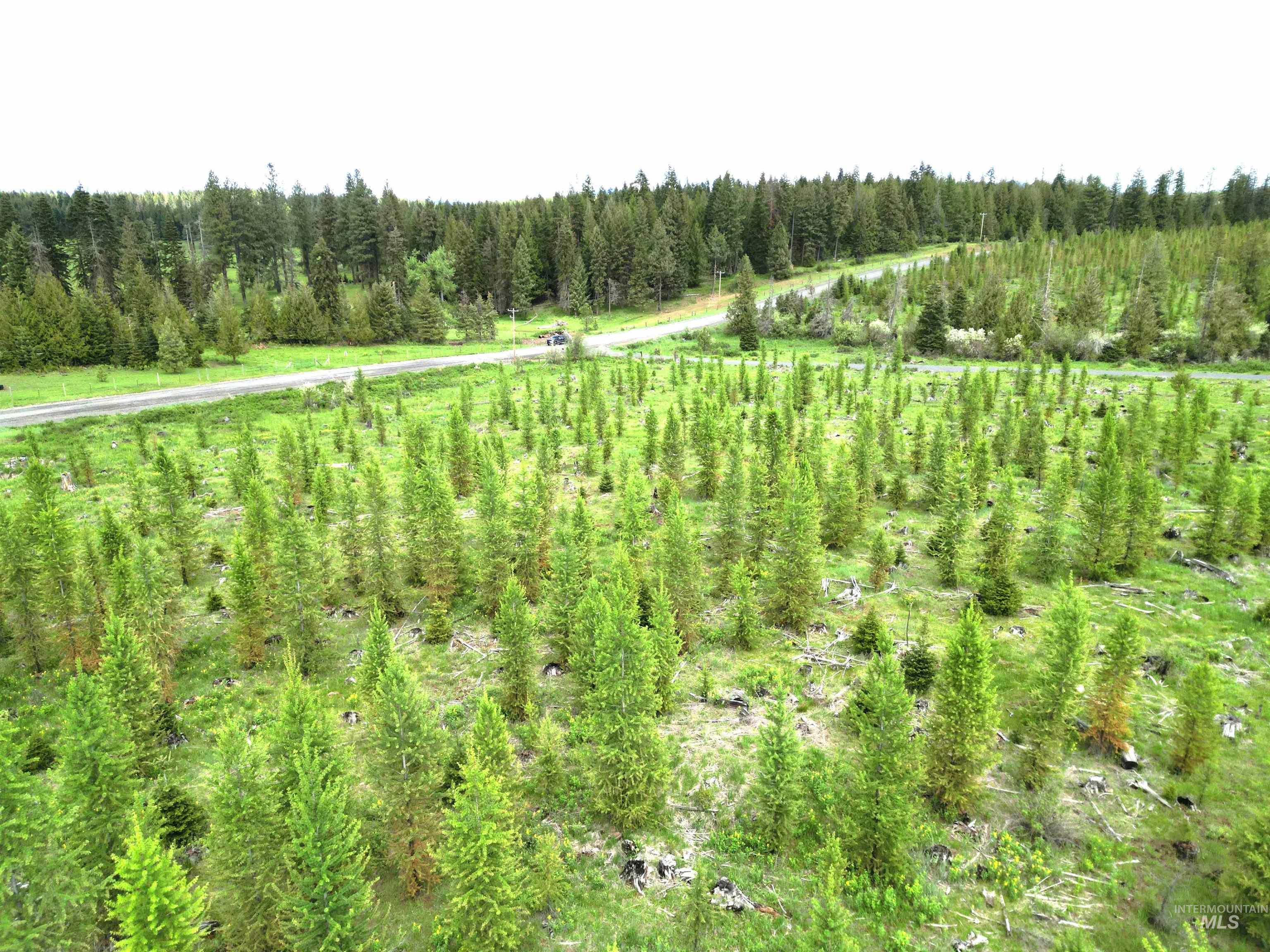 Tbd Upper Fords Creek Road Orofino, ID 83544 - Photo 4 of 4