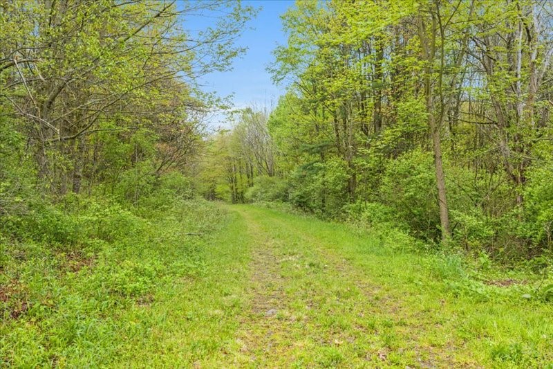 1049 Old State Road Kirkwood, NY 13904 - Photo 37 of 47