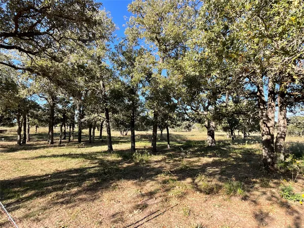 a view of road with trees